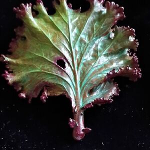 Handcrafted Nature's Creations Kale Brooch